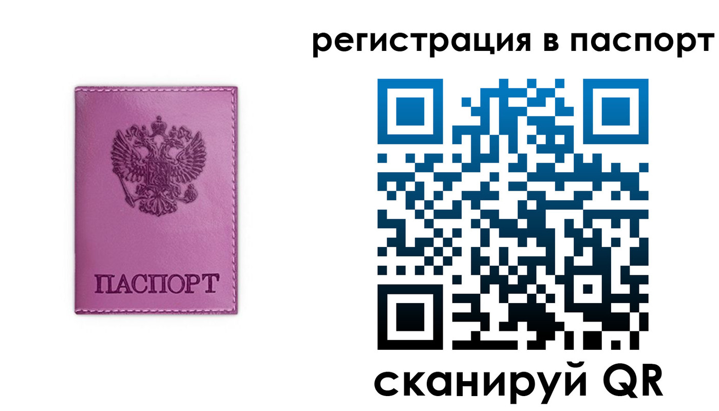 прописка в Кандалакше